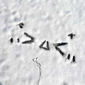 冢本亨利农村剧
