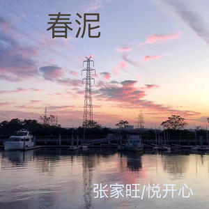 冢本亨利农村剧
